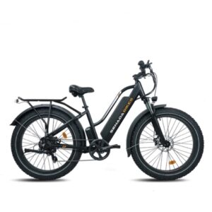 All New Upgraded Senada Herald 1000w 48v 21Ah Long Range Fat Tire Step thru Mountain Beach Snow Electric Bike + Rear Rack & Fenders